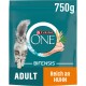 Purina ONE Bifensis Katzenfutterbeutel, 750g, mit einer flauschigen grauen Katze, mit dem Text "ADULT" und "Reich an Huhn".