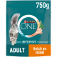 Purina ONE Bifensis Katzenfutterbeutel, 750g, mit einer flauschigen grauen Katze, mit dem Text "ADULT" und "Reich an Huhn".