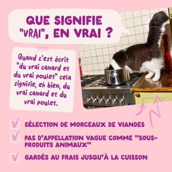Chat la tête dans une casserole sur une cuisinière à côté du texte français « QUE SIGNIFIE 'VRAI', EN VRAI ? » et d'une liste de contrôle sur la vraie viande.
