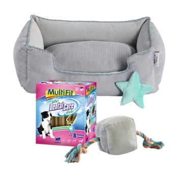 Organic discount pet bed