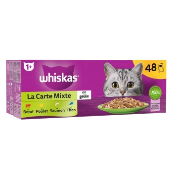 Emballage de nourriture pour chats Whiskas mettant en vedette le visage d'un chat gris, étiqueté "La Carte Mixte en gelée" avec des saveurs : bœuf, poulet, saumon, thon.