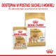 Opakowanie karmy dla psów Royal Canin Pomeranian, z torbą suchej karmy i saszetką mokrej karmy, z tekstem podkreślającym korzyści odżywcze.
