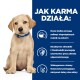 Siedzący szczeniak w niebieskiej obroży na niebieskim tle, z tekstem o korzyściach karmy dla psów, takich jak białko, wsparcie odporności i zdrowie skóry.