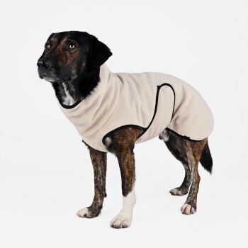 Ein mittelgroßer Hund trägt einen beigen Fleece-Mantel mit schwarzem Rand und steht vor einem weißen Hintergrund.