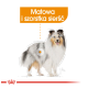 Ilustracja psa z naciskiem na jego sierść, oznaczona 'Matowa i szorstka sierść.'