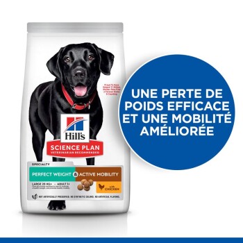 Hill's Science Plan Adult Perfect Weight croquettes pour chat au