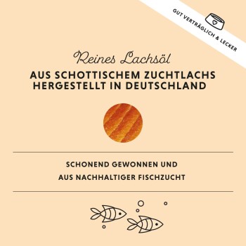 Ein Hund sitzt an einem sandigen Strand mit einem See und Bergen im Hintergrund, der Vitamin E, Astaxanthin und Omega-Fettsäuren hervorhebt.