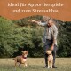 Eine Person in einer grauen Jacke wirft einen Stock für zwei verspielte Hunde auf einem grasbewachsenen Feld, mit dem Text "ideal für Apportierspiele und zum Stressabbau."