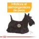 Illustration d'un terrier écossais noir avec une zone mise en évidence, accompagnée du texte "Irritations et démangeaisons de peau."