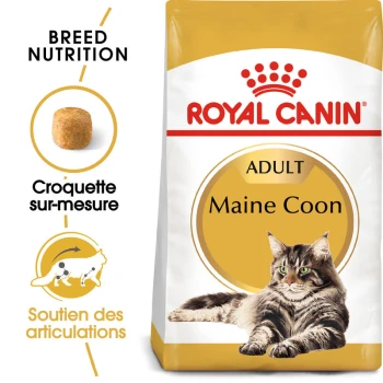 Maine Coon Adulte Croquettes Chat 400 g Sac de nourriture pour chats Royal Canin Adult Maine Coon présentant une image de chat Maine Coon, avec un texte mettant en avant la nutrition de la race et le soutien des articulations.