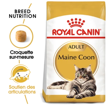 Sac de nourriture pour chats Royal Canin Adult Maine Coon présentant une image de chat Maine Coon, avec un texte mettant en avant la nutrition de la race et le soutien des articulations.
