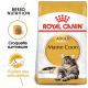 Sac de nourriture pour chats Royal Canin Adult Maine Coon présentant une image de chat Maine Coon, avec un texte mettant en avant la nutrition de la race et le soutien des articulations.