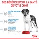 Un chiot Saint Bernard à côté d'un bol Royal Canin rouge, mettant en avant les bienfaits pour la santé comme l'immunité, la croissance musculaire et le soutien du microbiome.
