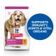 Hill's Science Plan Senior 11+ dog food bag featuring a small dog, with a blue circle stating "Supports immunity, joints & vital organs."