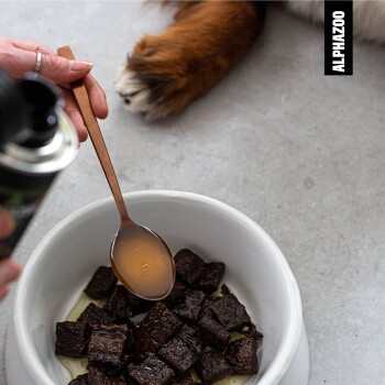 Eine Hand, die einen Kupferlöffel hält, träufelt Flüssigkeit über dunkles, würfelförmiges Haustierfutter in einer weißen Schüssel, mit einer Hundepfote im Hintergrund sichtbar.