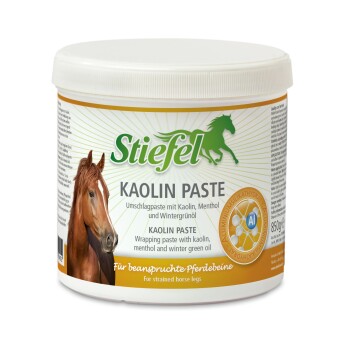 Kaolin Paste 850 g