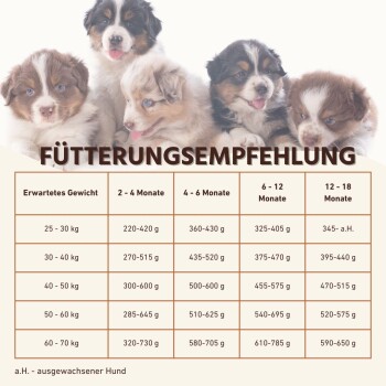 Fünf niedliche Welpen neben einem Fütterungsdiagramm mit dem Titel 'Fütterungsempfehlung', das Gewicht und Fütterungsmengen für verschiedene Altersgruppen zeigt.