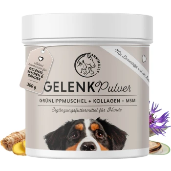 Behälter mit GelenkPulver, einem Gelenkpräparat für Hunde, mit Inhaltsstoffen wie Grünlippmuschel, Kollagen und MSM.