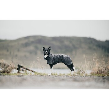 Ein Hund, der einen schwarzen Regenmantel trägt, steht auf einem Kiesweg mit einer verschwommenen Landschaft im Hintergrund, was auf einen regnerischen Tag hindeutet.