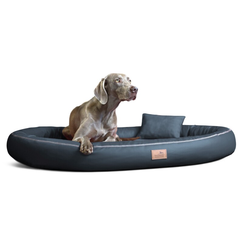 Tierlando GILBERT ORTHO Soft LATEX - Orthopädisches Hundebett aus Kunstleder schwarz/ graphit 85 cm, 13 cm, 65 cm