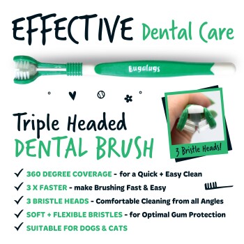 Grün-weiße dreiköpfige Bugalugs Zahnbürste für Haustiere mit 360-Grad-Abdeckung, weichen Borsten, geeignet für Hunde und Katzen.