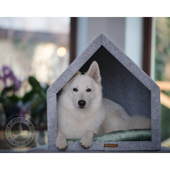 Ein weißer Hund, der in einem grauen Filz-Hundehäuschen mit einem grünen Kissen ruht, vor einem verschwommenen Innenhintergrund.