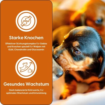 German Shephy Welpenfutter Truthahn 9 kg