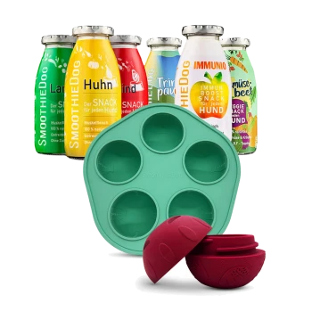 Flaschen mit SmoothieDog Hundesnacks in verschiedenen Geschmacksrichtungen hinter einer grünen pfotenförmigen Form und einem roten Leckerli-Spender-Spielzeug.