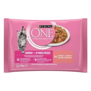Pochette de nourriture pour chats Purina ONE pour chatons, 1-12 mois, avec du saumon et des carottes. Le texte met en avant le soutien immunitaire et le développement sain.