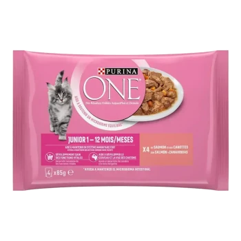 Pochette de nourriture pour chats Purina ONE pour chatons, 1-12 mois, avec du saumon et des carottes. Le texte met en avant le soutien immunitaire et le développement sain.