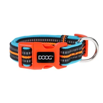 Bunter Hundehalsband mit einer orangefarbenen Schnalle, schwarz-blau gestreiftem Design und einem Metall-D-Ring zur Leinenbefestigung.