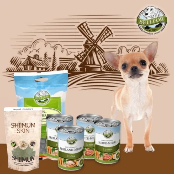 Ein kleiner beiger Chihuahua steht neben Tierfutterdosen mit der Aufschrift "Huhn" und "Lamm," sowie "SHIIMUN SKIN" Leckereien, auf einem hellbraunen Hintergrund.