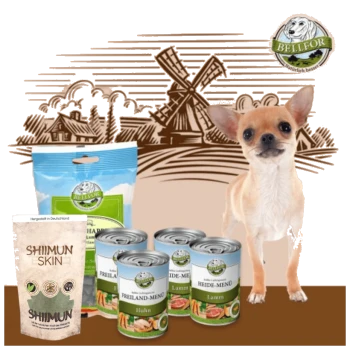 Ein kleiner beiger Chihuahua steht neben Tierfutterdosen mit der Aufschrift "Huhn" und "Lamm," sowie "SHIIMUN SKIN" Leckereien, auf einem hellbraunen Hintergrund.