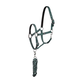 Ein türkisfarbenes und schwarzes Haustiergeschirr mit einer passenden Seilleine, die für Komfort und Kontrolle während der Spaziergänge entworfen wurde.