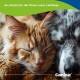 Nahaufnahme einer schlafenden orangefarbenen getigerten Katze, die mit einem grauen Hund kuschelt; Text: 'So schützt ihr die Ohren eurer Lieblinge' und 'Canina'.