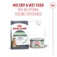 Royal Canin Care Digestive dry cat food bag and matching wet can, with text 'Mix dry & wet food' and '95% healthy stool'.