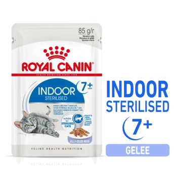 Royal Canin Indoor Sterilised Katzenfutterbeutel für Katzen 7+, mit einer grauen Katze und dem Text für "85 g" und "Gelee."