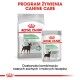 Opakowanie karmy dla zwierząt Royal Canin Digestive Care, z torbą oznaczoną "MINI" i saszetką dla "ALL SIZES," obie promujące poprawioną jakość stolca.
