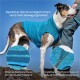 Core Hundepullover blau XS