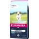 Szczęśliwy pies biega przez wodę na trawiastym polu, obok torby karmy dla psów Eukanuba bez zbóż oznaczonej "Low Allergen Recipe."