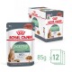 Royal Canin Care Digestive kattenvoer, 85g zakje, met een kat en tekst die 95% gezonde ontlastingkwaliteit in 10 dagen benadrukt. Doos bevat 12 zakjes.