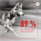 Un Husky sibérien courant en mouvement, avec un texte rouge en gras indiquant "89 % DES PROPRIÉTAIRES SONT SATISFAITS*" et une note sur les suppléments Royal Canin.