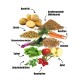 EatSmall Trockenfutter BALANCE 2 kg