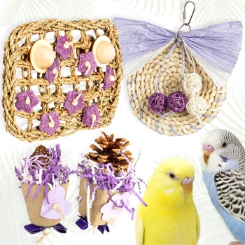 4er Schredderspielzeug für Wellensittiche Bunte Vogelspielzeuge: eine geflochtene Grasmatte mit lila Akzenten, ein hängender Korb mit dekorativen Bällen und zwei schalenförmige Leckerli-Halter.