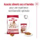 Medium Adulte Croquettes Chien 15+3 kg gratuite