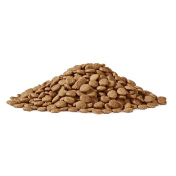 Ein Haufen trockener Haustierfutterkibble, bestehend aus kleinen, runden, braunen Stückchen, vor einem weißen Hintergrund.