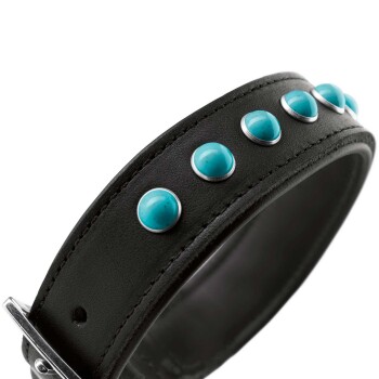 Schwarzes Lederhaustierhalsband, verziert mit türkisfarbenen Nieten und silbernen Akzenten.