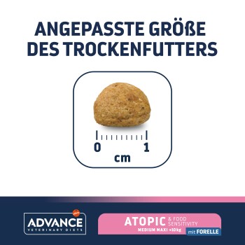 Kibble-Stück neben einem Lineal, beschriftet mit 'ANGEPASSTE GRÖßE DES TROCKENFUTTERS', für Haustierfutter bei atopischen und Nahrungsmittelunverträglichkeiten.