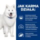 Uśmiechnięty, puszysty biały pies, prawdopodobnie Samoyed, obok tekstu o korzyściach z karmy dla psów, takich jak omega-3 i wysokie aminokwasy.