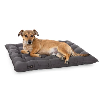 Ein entspannter brauner Hund, der auf einem plüschigen, dunkelgrauen Hundebett mit gepolstertem Design liegt, vor einem weißen Hintergrund.